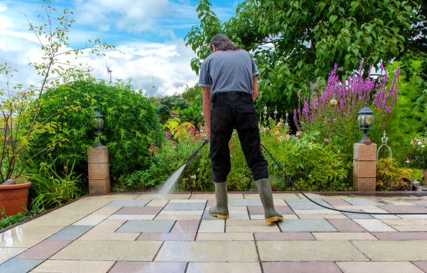 Best Sidewalk and Walkway Cleaning  in Rising Sun Lebanon, DE
